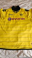 BVB Borussia Dortmund Trikot Saison 2010/2011 Baden-Württemberg - Mannheim Vorschau