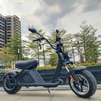 E Chopper Elektro Moped 45 Km/h Grosse Baterrie 40 Ah Neu Rheinland-Pfalz - Bad Dürkheim Vorschau