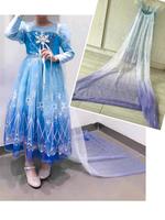 Elsa Kleid Kostüm 104/110, 110/116, 122/128, 128/134 München - Milbertshofen - Am Hart Vorschau