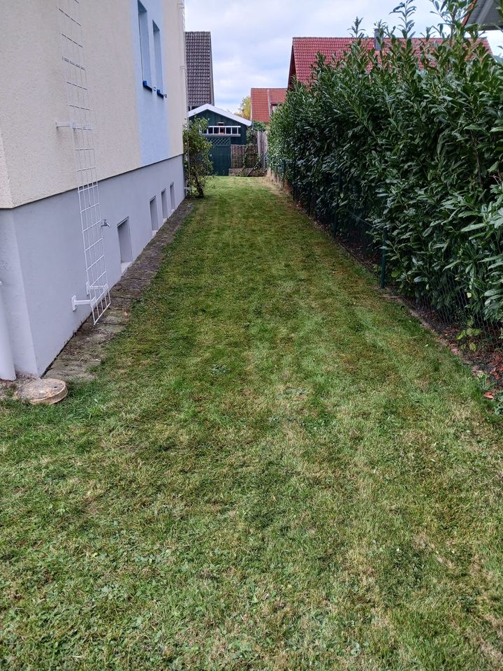 Gartenservice- Gartenpflege-Hausmeisterservice in Bad Emstal