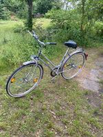 Damenfahrrad mit Licht und 3 Gängen in silber Berlin - Pankow Vorschau