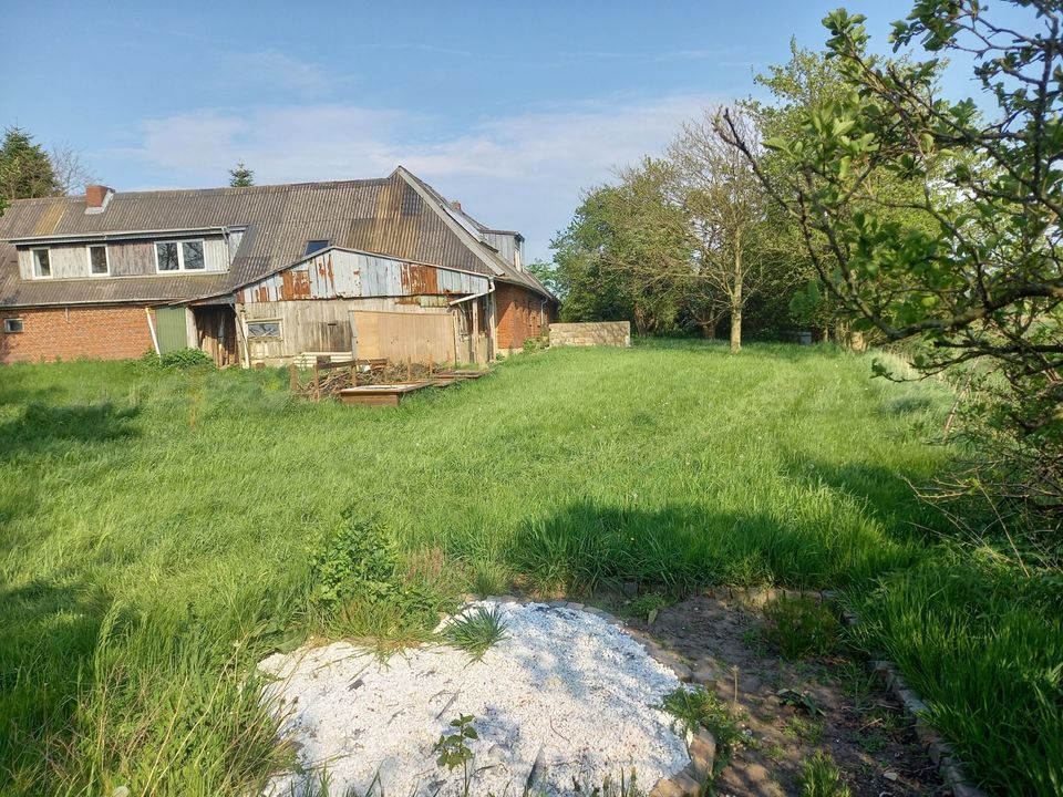 Sanierungsbedürftiger Resthof in guter, idyllischer Lage in Bosbüll 