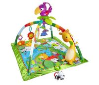 Spielbogen Fisher Price Rainforest Hessen - Gudensberg Vorschau