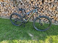 Specialized Levo Carbon, super Zustand Thüringen - Uhlstädt-Kirchhasel Vorschau