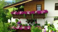 Achensee FEWO AUGUST/Sept. 2-4 P. 7Ü ab € 580,00 +NK. Bayern - Tegernsee Vorschau