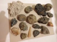 Mineralien- Steinsammlung ( 17 Stück) Baden-Württemberg - Deggingen Vorschau