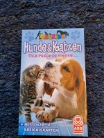 Hunde und Katzen Tierfreunde finden Baden-Württemberg - Ingersheim Vorschau