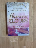 Flaming Clouds -Gabriella Santos de Lima Rheinland-Pfalz - Hasselbach Vorschau