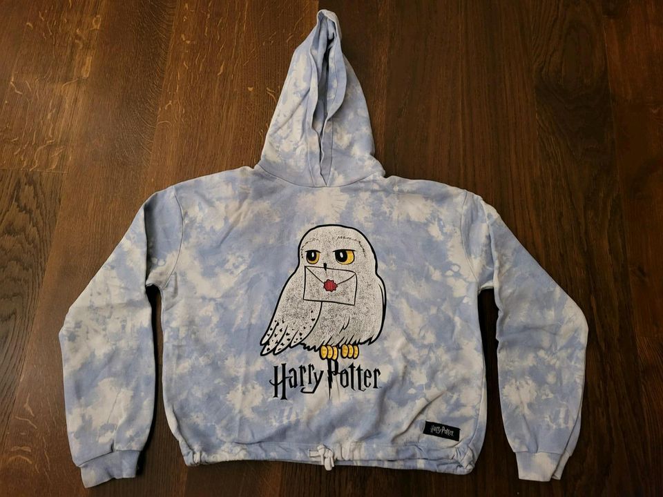 Harry Potter Hoodie Kapuzenpullover Gr 158 / 164 in Bad Sachsa