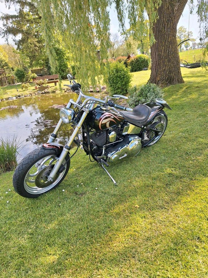 Harley Davidson FXST in Marschacht