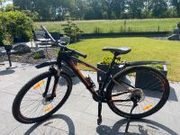 Mountainbike Bergamont 4.0 Marathon 29 Zoll Niedersachsen - Garbsen Vorschau