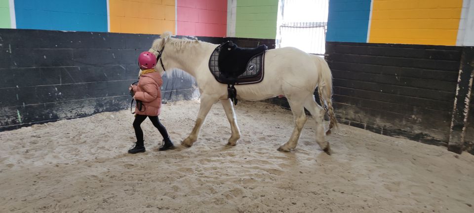 Erlebnis auf dem Ponyhof in Kluse