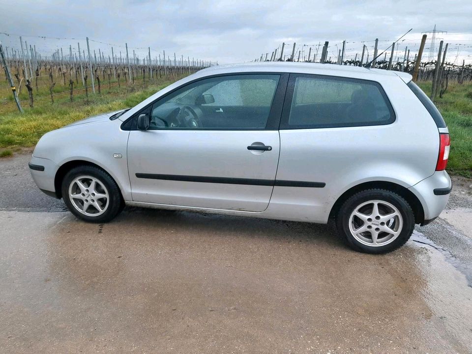 VW Polo 9N 2004 in Oestrich-Winkel