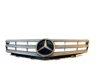 Kühlergrill Grill FRONTGRILL A1698881360 Mercedes W169 A Nordrhein-Westfalen - Brakel Vorschau