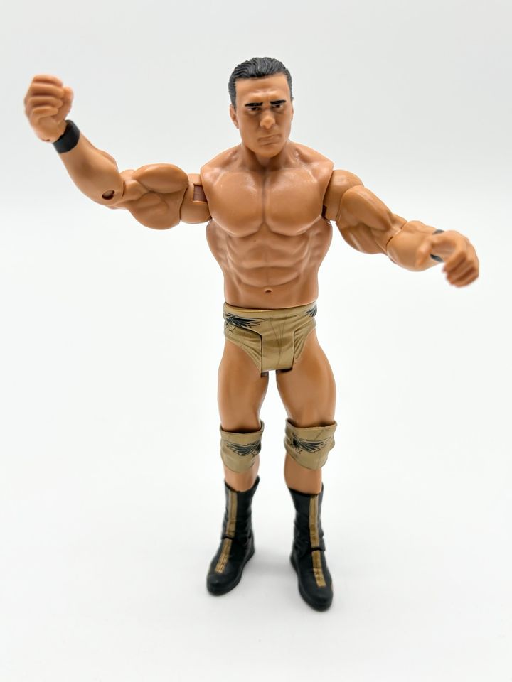 WWF/WWE Jakks Mattel Wrestling Figur Alberto Del Rio 2013 Mattel in Filderstadt