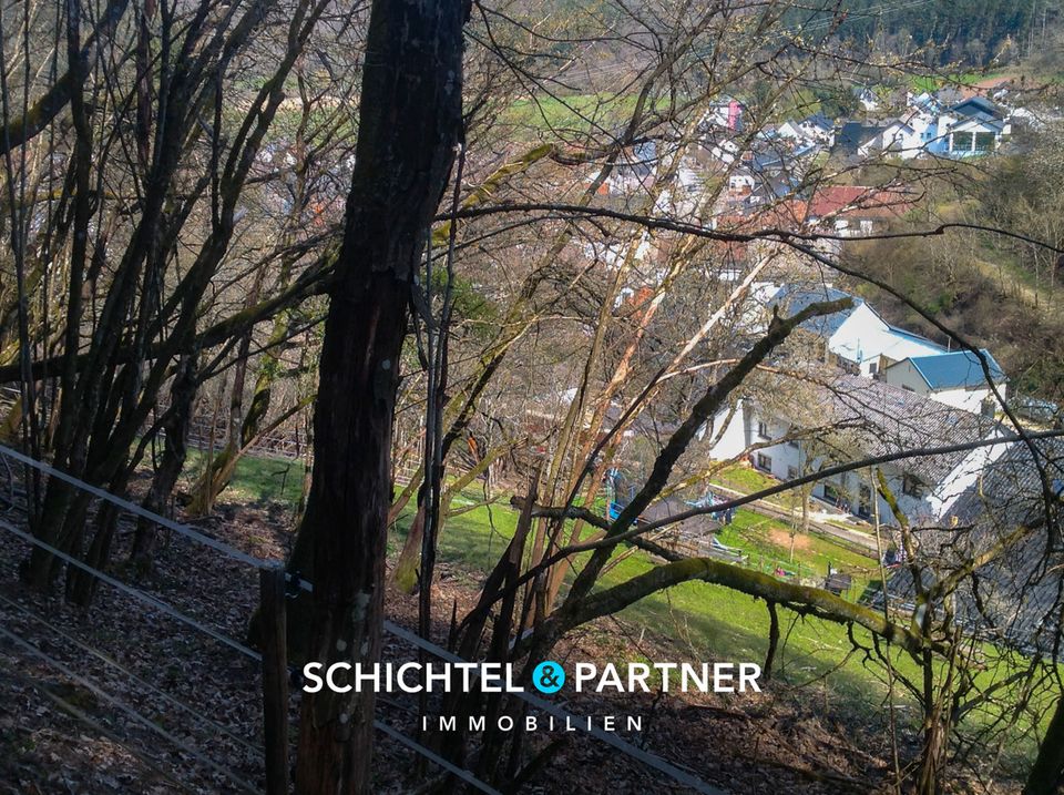 Meerfeld | Einmaliges Baugrundstück mit viel Potenzial in bevorzugter Hanglage am Meerfelder Maar in Meerfeld