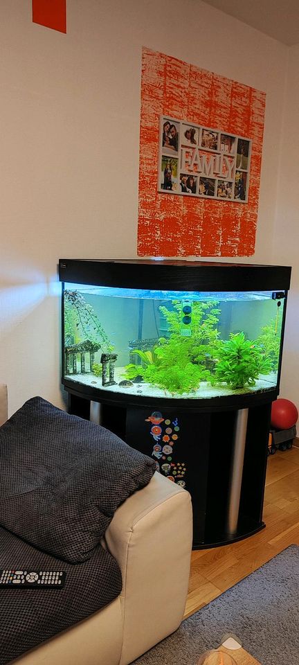 Aquarium mit Fische evtl. in Merzig