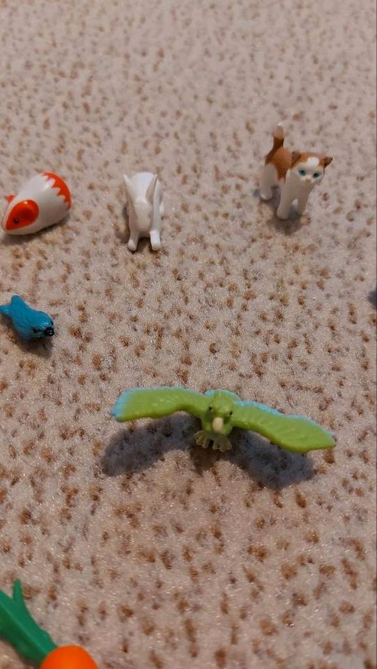 Schleich Tiere, Hase,Meerschweinchen, vogel in Westergellersen