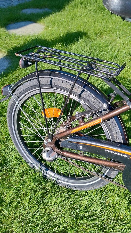 Pegasus Fahrrad Jungen 20 Zoll in Vierkirchen