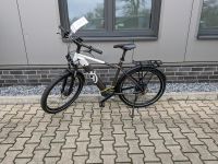 Husqvarna E-Bike Cross Tourer 2 Gent Shimano Gr. L/55 Herren Niedersachsen - Rhauderfehn Vorschau