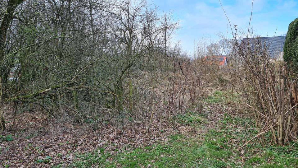 Grundstück in herrlicher Hanglage in Leopoldstal in Horn-Bad Meinberg