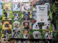 Galison Puzzle Rettungshunde, Hunde, 1000 Teile, rescue dogs Bayern - Schonungen Vorschau