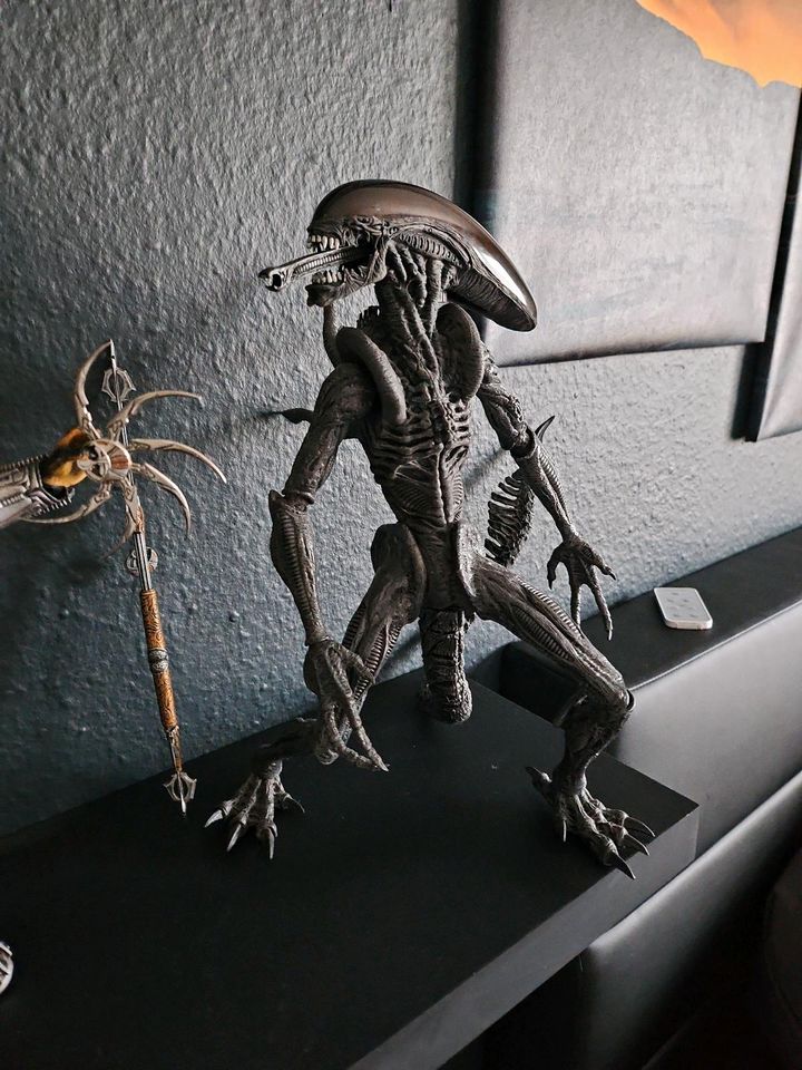 Hot Toys Alien Warrior in Mainz