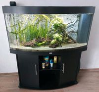 Juwel Aquarium 260 l Nordrhein-Westfalen - Beckum Vorschau