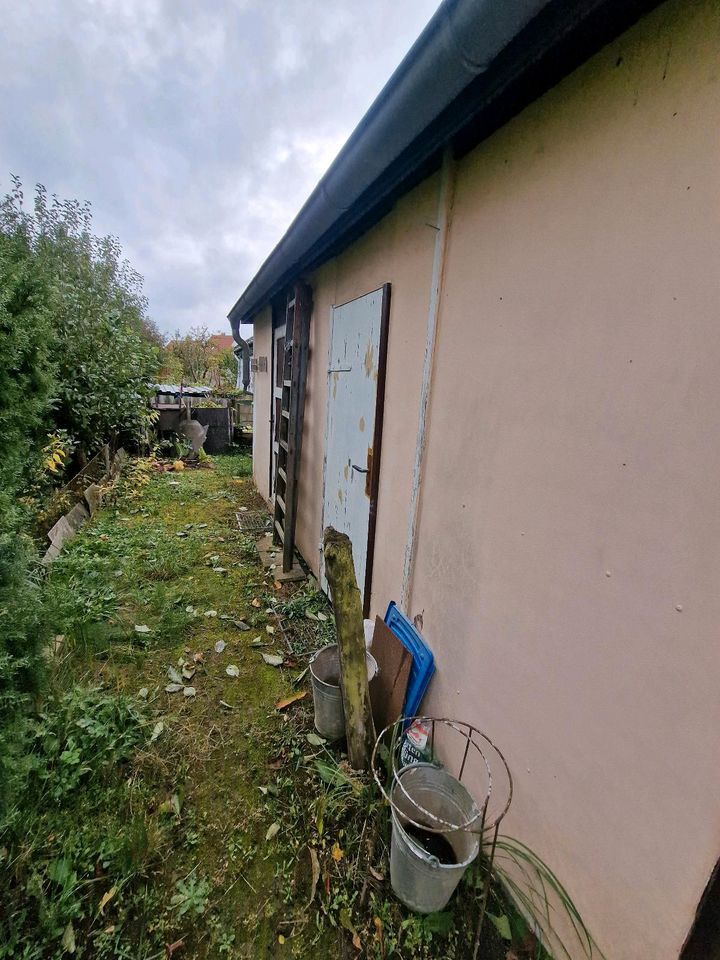 Garten in gute Hände abzugeben in Schwerin