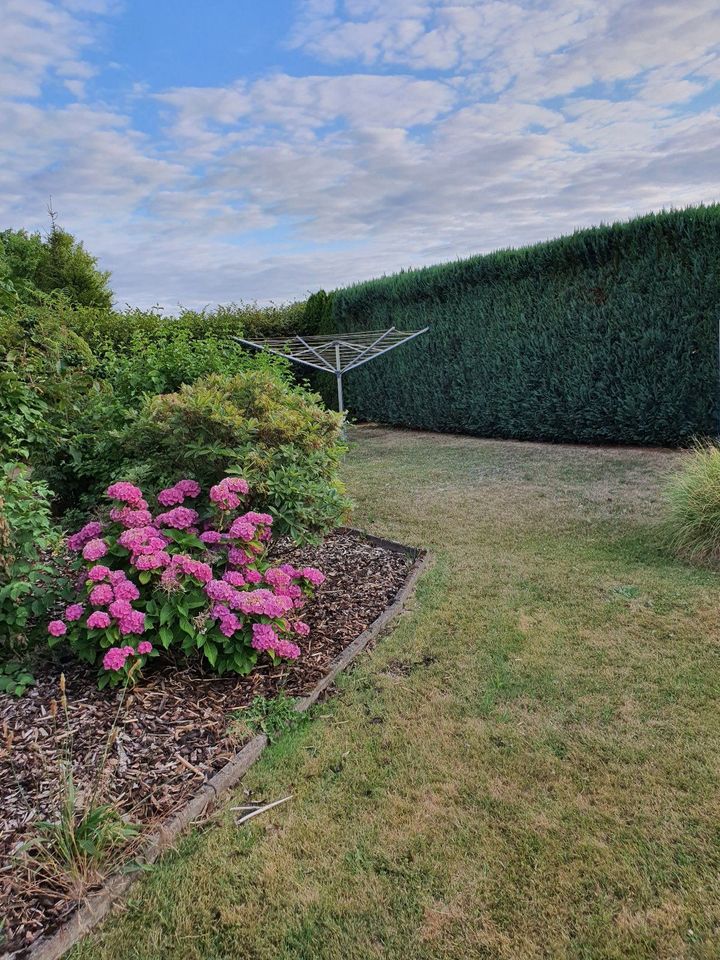 Kapitalanlage? oder Haus mit Garten + 3 Wohnungen zum vermieten in Hameln