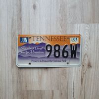 Tennessee Great Smoky Mountains USA US Kennzeichen Nummernschild Bayern - Großmehring Vorschau