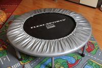 Trampolin "Flexi-Sports" inkl. Trainings- DVD Dresden - Dresden-Plauen Vorschau