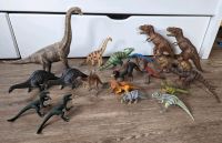 Große Schleich Dinosaurier-Sammlung, 20 Dinos Schleswig-Holstein - Handewitt Vorschau