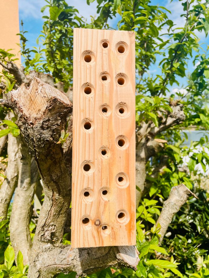 DARLUX Wildbienen Insektenhotel Nisthilfe Hartholz Stamm 3 Größen in Dresden