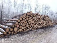 Stammholz Buche / Laubholz / Nadelholz, Brennholz Hilter am Teutoburger Wald - Borgloh Vorschau