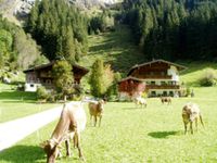 Urlaub im Zillertal (Tirol): Ferienhaus, Ferienwohnung, Hütte Baden-Württemberg - Karlsruhe Vorschau