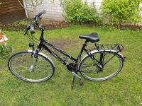 Hercules Damenfahrrad Fahrrad RH 54cm Nordrhein-Westfalen - Paderborn Vorschau