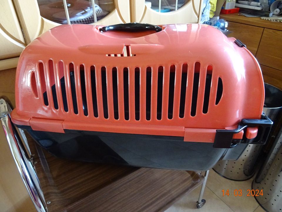 Transportbox Kiste Katzen + kl. Hunde 60cmx35 cmx35 cm Neuwertig in Köln