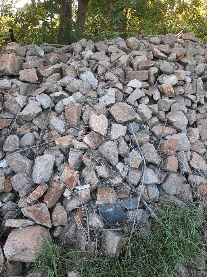 Naturstein Bruchstein Porphyr Trockenmauer Pflaster in Landsberg (Saalekreis)