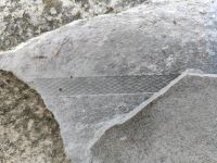 Faserzementdachplatten - garantiert asbestfrei Sachsen - Großharthau-Seeligstadt Vorschau