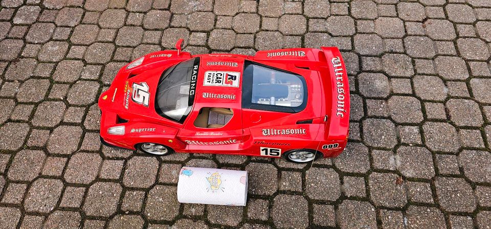 Ferrari Enzo Rc ca 1 Meter in Sinsheim