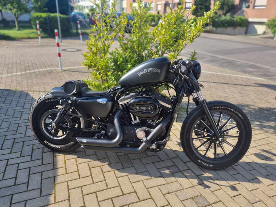 Harley Davidson 883 Sporter in Dormagen
