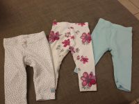 3 süße Leggings Baden-Württemberg - Gemmingen Vorschau