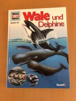 Was ist was? Wale und Delphine Bergedorf - Kirchwerder Vorschau