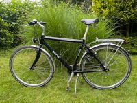 VETTA Herren Alu City Bike 7-Gang Sachs Spectro 53 cm Rahmen M Eimsbüttel - Hamburg Eimsbüttel (Stadtteil) Vorschau