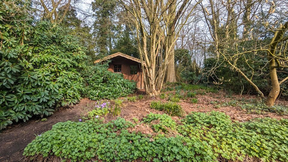 Einfamilienhaus mit gehobener Ausstattung und kleinem Wald in Hesel in Hesel