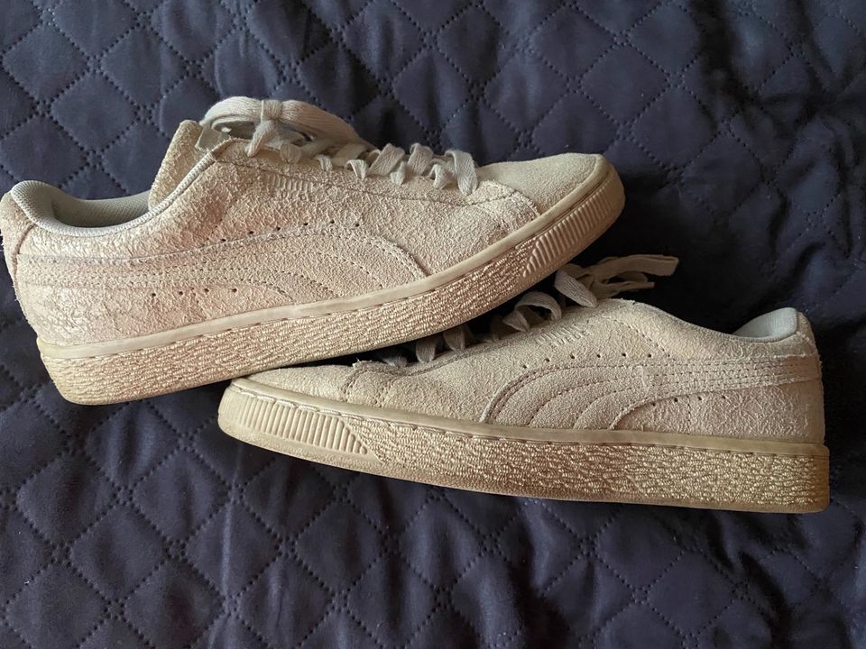 ❣️ PUMA Damen Schuhe * Sneaker Gr. 37 * beige Wildleder ❣️ in Vogt