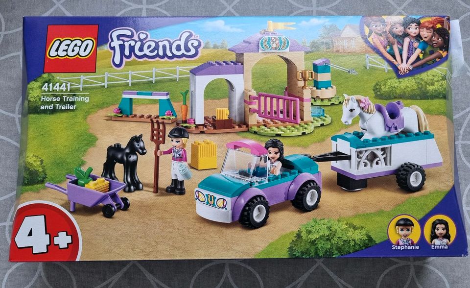41441 Lego Friends Horse in Dummerstorf