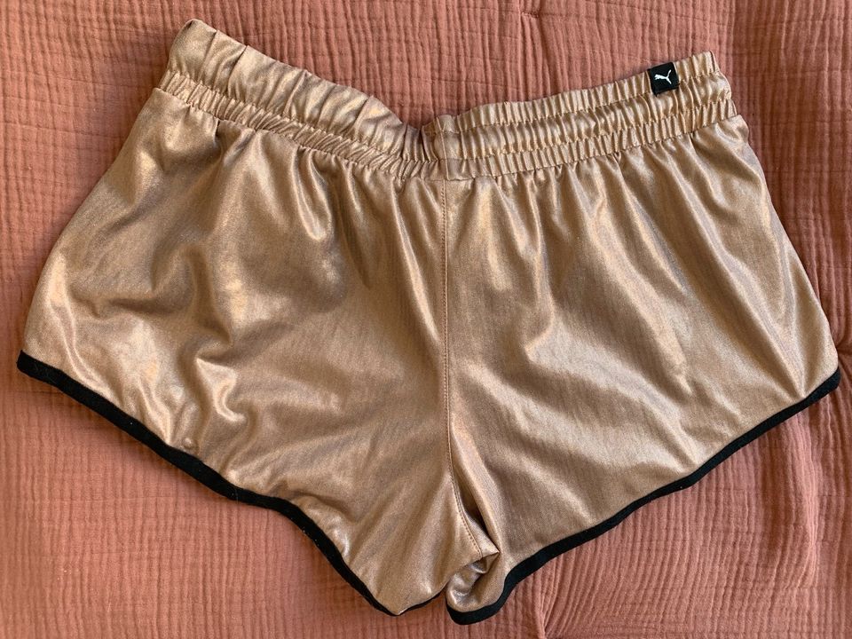 PUMA Shorts rosé Gold 36 / S in Bremen