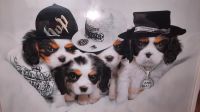 Foto, Gangsta Pups, Hunde, ca. 91,5 x 62 cm Hessen - Rodgau Vorschau